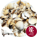 Barra Shell - Harling Repair - Click & Collect